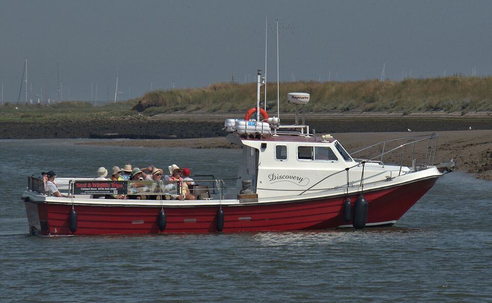 Discovery Seals Boat Trip