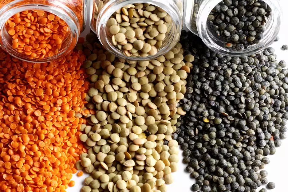 The Mughal Dynasty writes on Lentils and Pulses in Indian Cooking