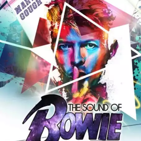 David Bowie Tribute Show At the Royal Hotel